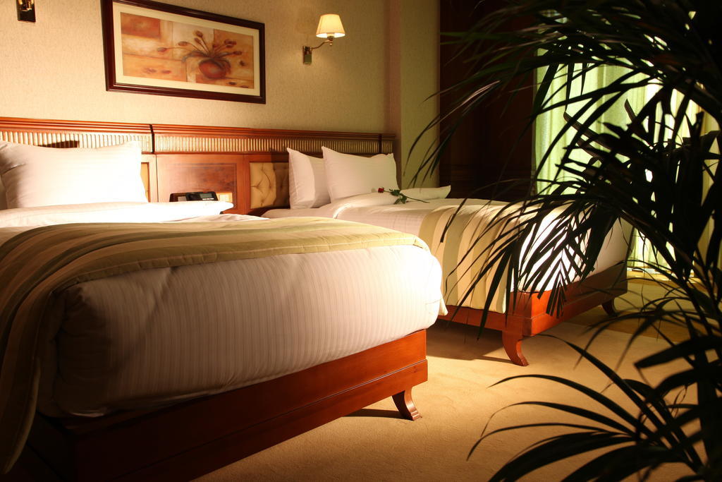 קהיר Helnan Landmark Hotel חדר תמונה
